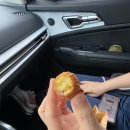 국화네비빔밥 | 20260403 ~ 20260405 - 엄마랑 여수 2박 3일