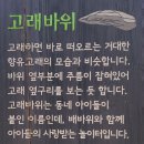 서울 둘레길 1코스~3코스(서울창포원~수락골~노원골~채석장전망대~덕릉고개~상계동철쭉동산~불암산전망대~공릉산백세문~화랑대역)를 다녀와서 이미지