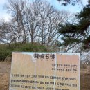 나성동_독락정역사공원 이미지