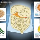 고추의 매운성분 암세포 죽인다.. 이미지