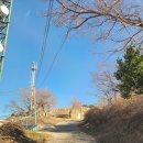 당포민박 이미지