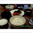 초당순두부 티스토리