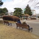 수원올림픽공원 이미지