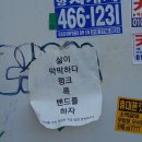 스윙걸즈와 함께한 여름