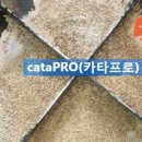 태운크리닝 네이버블로그