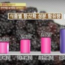 ** 슈퍼복분자(블랙베리) 효능 ** 이미지