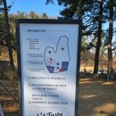 행복가든 | [경산 대형카페] 테이스티가든 :: 만원의행복 브런치세트 솔직후기