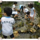 삼성열린생태 어린이집 이미지