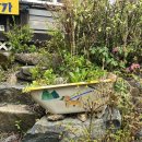 운교산방 이미지