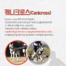 도그플러스동물병원 이미지
