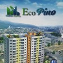 대원에코피노 이미지