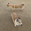 죽빵훈련소 이미지