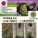 [기획강의] 도심 속 정원 가꾸기 생활 가드닝 | ‘자연예술 아카데미’ 수강생 모집
