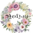 지오농장 | 지오농장 금실이님 대추