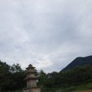 칠곡 기성리 삼층 석탑 | 칠곡 기성리 삼층석탑