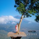 스위트램 | [발리 우붓 동부투어 - 2] 램푸양 대체 포토존 라항안스위트(Lahangan Sweet)