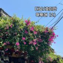 연꽃베트남쌀국수 | [베트남 다낭&호이안] 4박 6일 효도여행 먹투어 후기 (2) - 파라운지 호이안 / 못 카페 / 미 호이안...