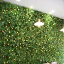 우아한과일 이미지