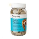 데일리도그(DAILY DOG) 이미지