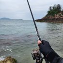 해들목2 | [240506] 군산권 광어 출조후기