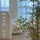 207헤어살롱 이미지