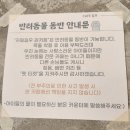 느리울아파트13단지경로당 | 대전 실타래빙수 맛집 [카페길우관저점] 초코덕후 초코실타래빙수 애견동반카페 솔직후기