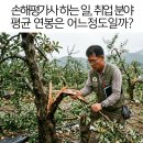 농업회사법인 농가생활협동조합주식회사 | 손해평가사 하는 일 및 취업, 정규직과 프리랜서 평균 연봉 비교
