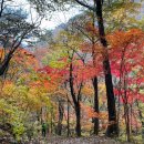 메아리산악회 88차(주왕산)산행안내 이미지