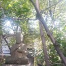 소나무집여인숙 Daum카페