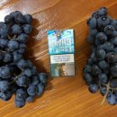 머루네건강원 이미지