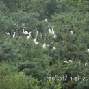 시랑초등학교 이미지