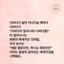다비다쿰 네이버블로그