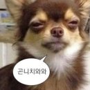 요가람핫요가