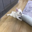 폴리파크 칠곡점 네이버블로그
