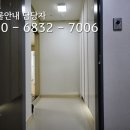 대일비디오