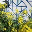 파란상자 이미지