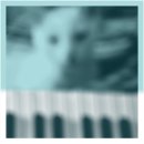 피터웍스 이미지