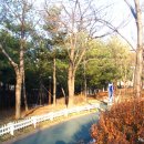 꽃피는 봄날 이미지