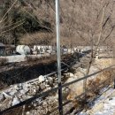 계곡에풍덩펜션캠핑장 | <계곡에풍덩펜션캠핑장 카라반 후기 🏕️>