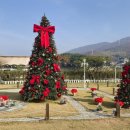 고모리691 이미지