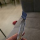 준꼬팡팡