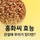 씨 - 평택시 평택1로9번길 22 | 씨