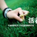 사라의미소