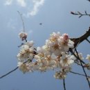 피아골단풍민박 이미지