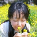 게스트하우스 정글 민박 이미지