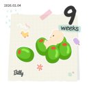 언니네 칼국수&비빔밥 | 임신 9~11주차 일상 | 근데 이제 먹방을 곁들인.. 디오디아 임산부 혜택과 트립트랩 구매🥹