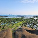 서부해안로 이미지