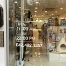 엘리자펫 이미지