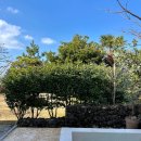 애월담아 이미지