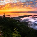 영인산산림박물관 이미지